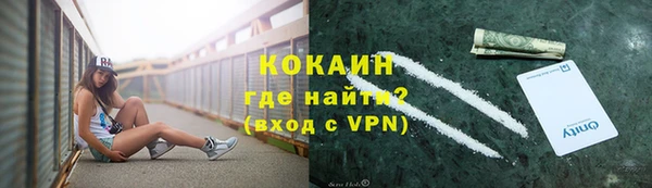 прущие грибы Бикин