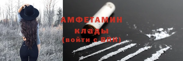 прущие грибы Бикин