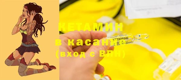 СК Новодвинск