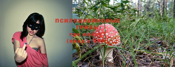 не бодяженный Нефтегорск